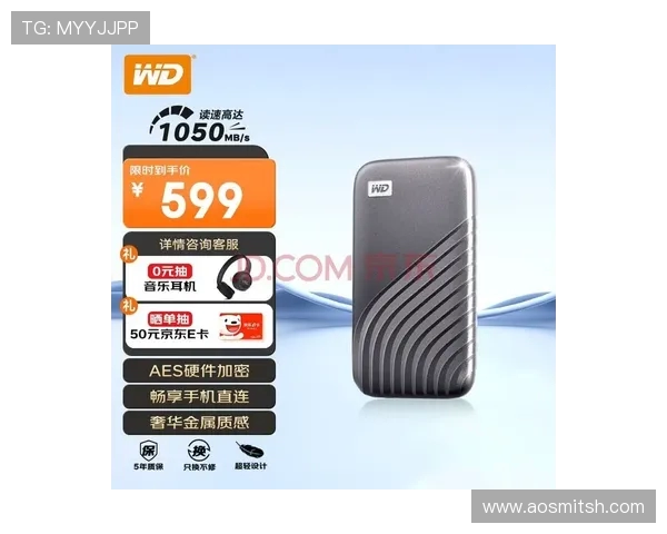 芝奇皇家戟1TB固态硬盘游戏专用版极速性能稳定性双重保障